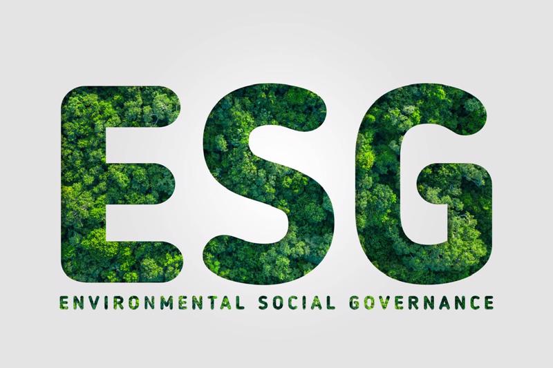 Hình ảnh thumbnail của bài viết ESG là gì? Tại sao doanh nghiệp cần quan tâm đến ESG trong thời đại mới?