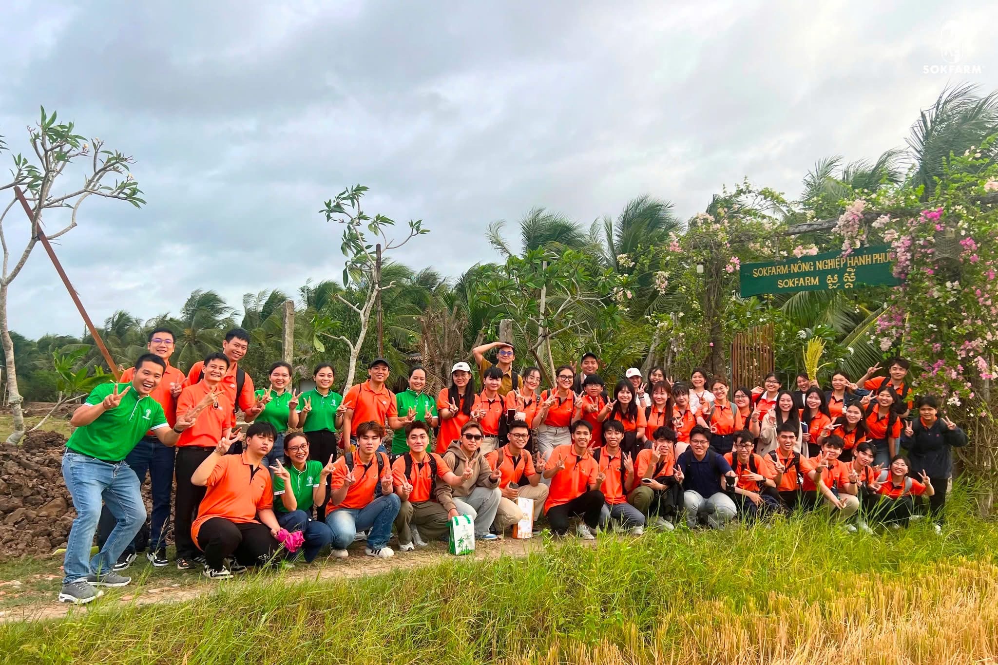Hình ảnh hoạt động tại Sokfarm